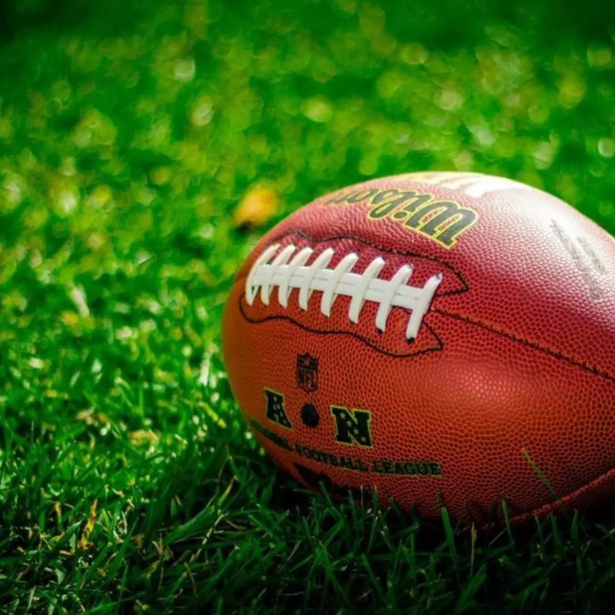 Close up of an American football on grass